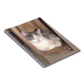 Meow Cats 33 Carnets (Côté Droit)