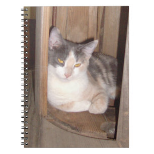 Meow Cats 33 Carnets