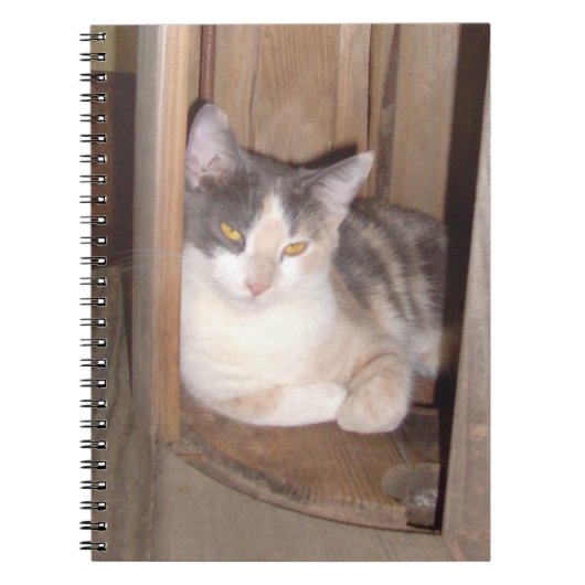 Meow Cats 33 Carnets (Devant)