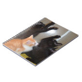 Meow Cats 36 Carnets (Côté gauche)