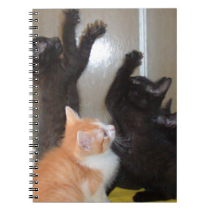 Meow Cats 36 Carnets