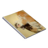 Meow Cats 5 Carnet (Côté Droit)