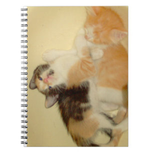 Meow Cats 5 Carnet