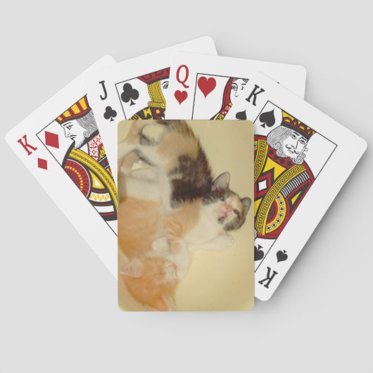 Meow Cats 5 Cartes de jeu (dos)