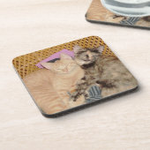 Meow Cats 6 Dessous de verre Set (Côté gauche)