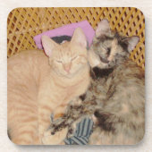 Meow Cats 6 Dessous de verre Set (Devant)