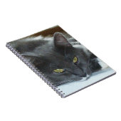 Meow Cats 8 Carnet (Côté Droit)