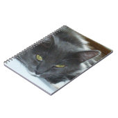Meow Cats 8 Carnet (Côté gauche)