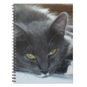 Meow Cats 8 Carnet