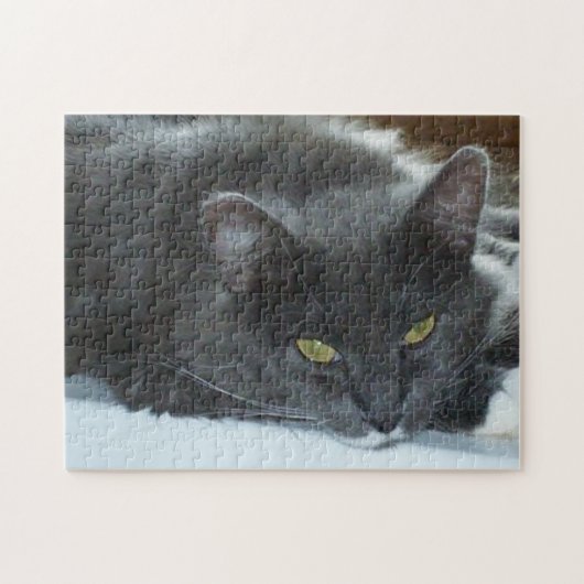 Meow Cats 8 Puzzle (Horizontal)