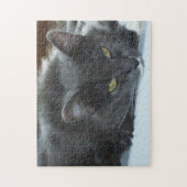 Meow Cats 8 Puzzle (Vertical)