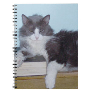 Meow Cats 9 Carnet
