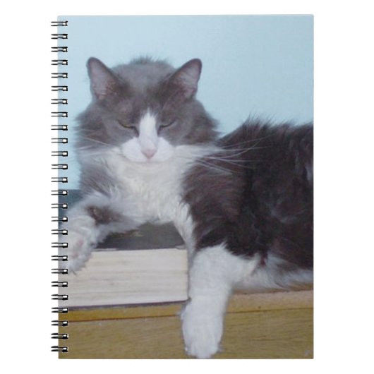 Meow Cats 9 Carnet (Devant)