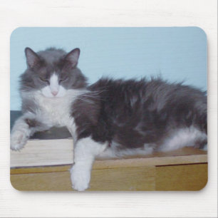 Meow Cats 9 Mousepad Muismat