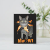 Meow Costume Cat Briefkaart (Staand voorkant)