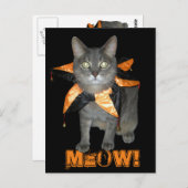 Meow Costume Cat Briefkaart (Voorkant / Achterkant)