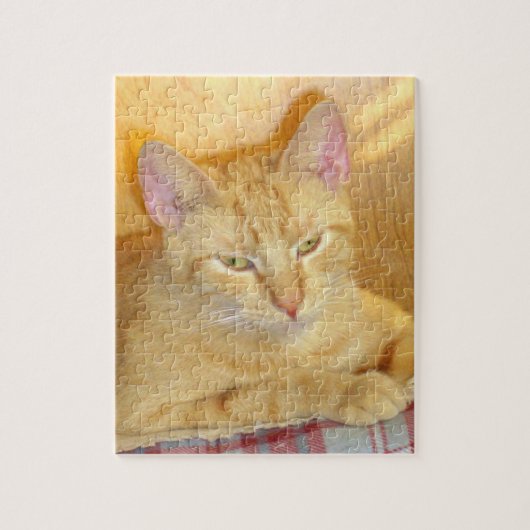 Meow Katten 15 Puzzle Legpuzzel (Verticaal)