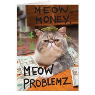 Meow Money, Meow Problemz