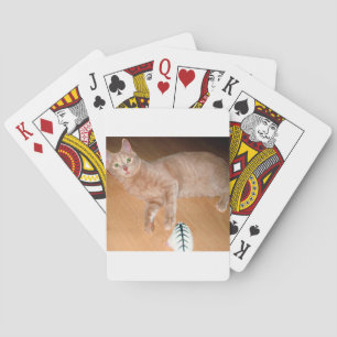 MEOW POKERKAARTEN