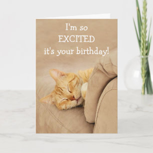 Meow-Velous De La Carte D'Anniversaire Du Chat