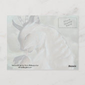 Meowl 2 cat owl postcard briefkaart (Achterkant)