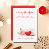 Meowny Christmas Blanc Funny Chat Photo Carte de v