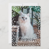 Meowy Amoureux des chats de Noël Carte photo de fa (Devant)