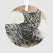 MEOWY CHRISTMAS Chat Nom de la photo Année (dos)