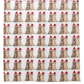 Meowy Christmas Kitten Douche rideau (Devant)