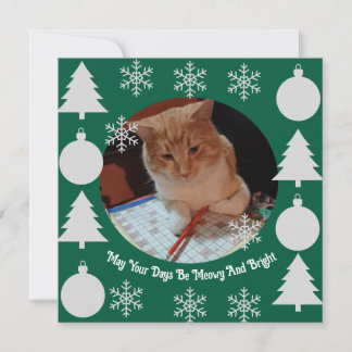 Meowy en helder, kattenfoto, Kerstmis  Feestdagenkaart