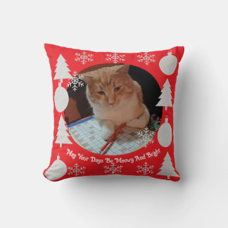 Meowy en helder, kattenfoto, Kerstmis  Kussen