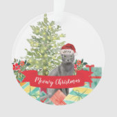 Meowy Kerstblauw Russisch Kat Ornament (voorkant)