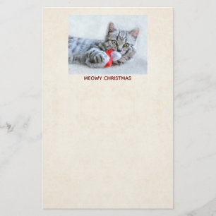 Meowy Kerstcute Gray Tabby Cat Briefpapier
