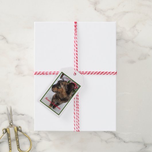 Meowy kerstkat foto cadeaulabel (Met Touw)