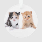 Meowy kerstkat Foto Names Red Ornament (achterkant)