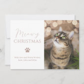 Meowy kerstkat met kerstmis feestdagenkaart (Voorkant)