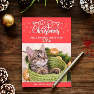 Meowy Kerstmis en een nieuwe fotokaart voor een do