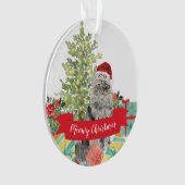 Meowy Kerstmis Maine Coon Cat Ornament (voorkant)