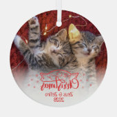 Meowy Kerstmis twee afbeeldingen leuke kattenliefh Glas Ornament (Achterkant)