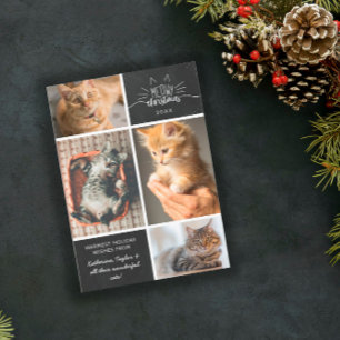 Meowy Kerstmis - Vier kat fotocollage Aankondiging