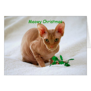 Meowy Noël Sphinx Chat
