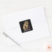 Meowzel Tov Mazel Tov joodse kat stickers (Envelop)
