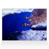 Mer (Intérieur Horizontal (Haut))