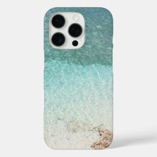Mer avec plage, Grande vague et Coque de la mer de