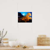 Mer de corail - Plongeur et corail mou - Poster (Cuisine)