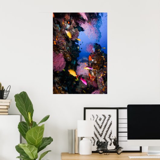 Mer de corail - Poisson tropical & récif - Poster (Bureau à domicile)