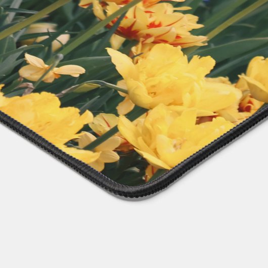 Mer des fleurs de Firey (Coin)