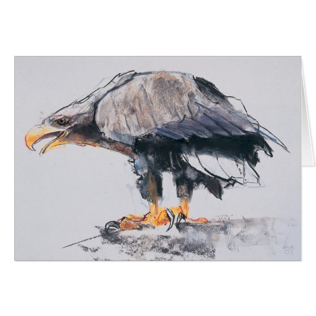 Mer Eagle coupée la queue par blanc 2001 (Devant horizontal)