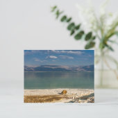 Mer Morte, Carte postale de vacances Israël (Debout devant)