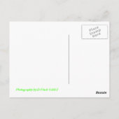 Merc SLR Briefkaart (Achterkant)